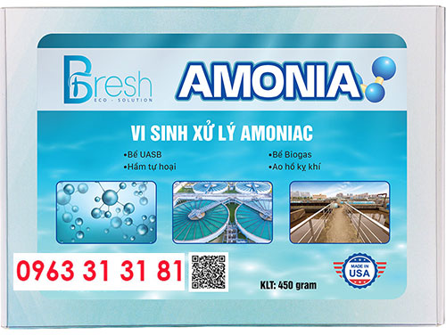 xử lý amonia