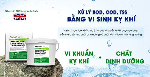 Vi sinh kỵ khí ADT