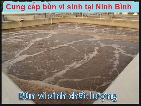 Bán bùn vi sinh tại Ninh Bình – Tốt nhất thị trường, giá siêu sốc