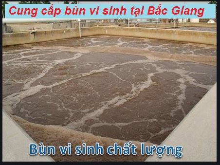 Bán bùn vi sinh tại Bắc Giang – Sạch, Đậm Đặc, Giá Tốt