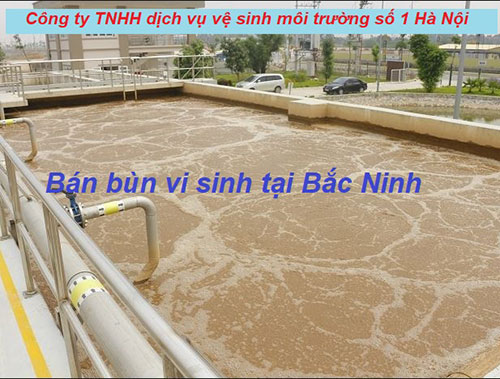 Chuyên bán bùn vi sinh tại Bắc Ninh chất lượng – giá tốt