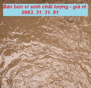 Cấp bùn vi sinh tại Hà Nam – Bùn đạt chuẩn – Giá cực ưu đãi