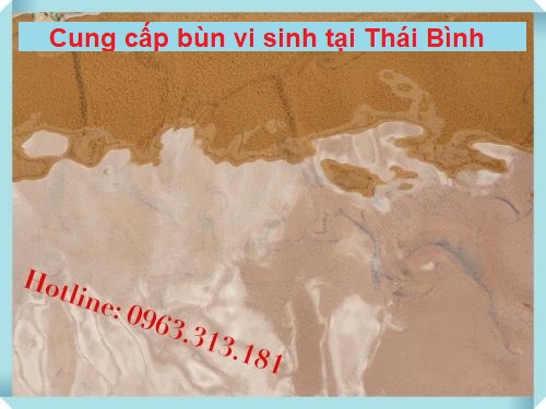 Cung cấp bùn chất lượng tốt – giá rẻ nhất thị trường tại Thái Bình